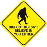Bigfoot Doesn't Believe In You Either Diamond
