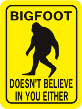 Bigfoot Doesn't Believe In You Either Rectangle