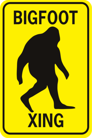 Bigfoot Xing Rectangle