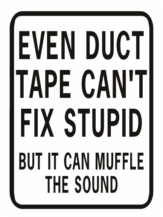 Even Duct Tape Can't Fix Stupid Muffle Rectangle