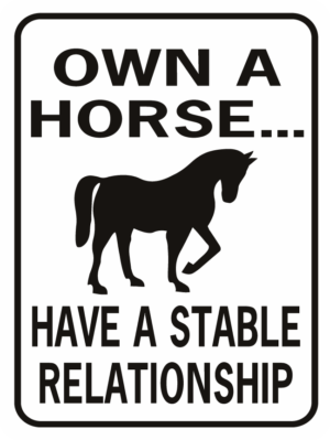 Horse Own A Horse Stable Relationship