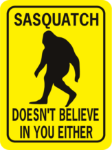 Sasquatch Doesn't Believe In You Either Rectangle