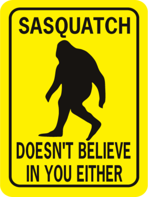 Sasquatch Doesn't Believe In You Either Rectangle