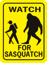 Sasquatch Watch For Sasquatch Rectangle