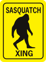 Sasquatch Xing Rectangle