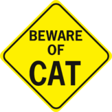 Beware of Cat Diamond