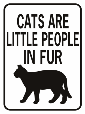 cats are little people in fur