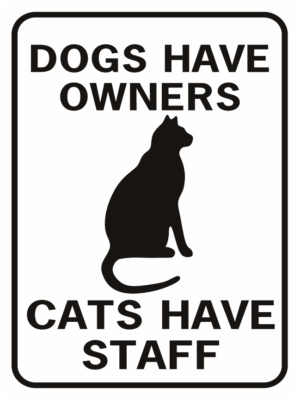 dogs have owners cats have staff