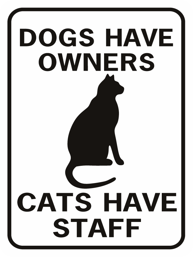 Details about   Dogs Have Owners Cats Have Staff Cute Cat Wood Fridge Magnet 2.5" X 3.5" NEW J 