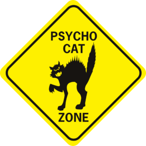 Psycho Cat Zone