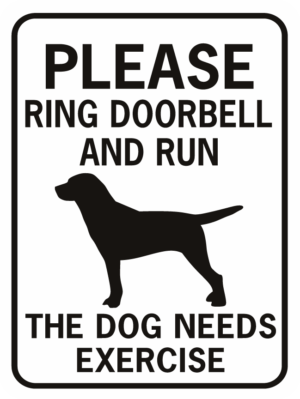 Please ring doorbell and run - the dog needs exercise