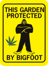 This garden protected by bigfoot rectangle