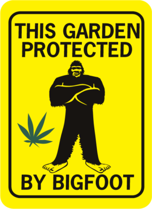 This garden protected by bigfoot rectangle