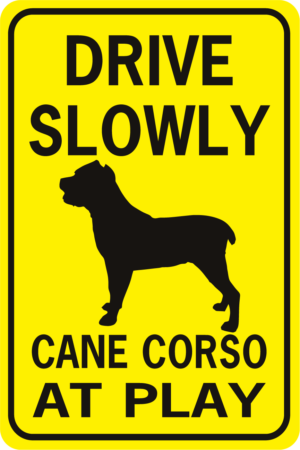 Drive Slowly Breed at Play