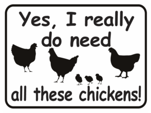 chicken yes I really do need chickens