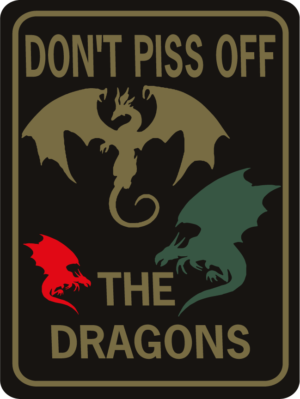 DRAGON DON'T PISS OFF THE DRAGONS