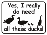 Duck Yes I really do need all these ducks