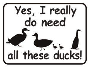 Duck Yes I really do need all these ducks