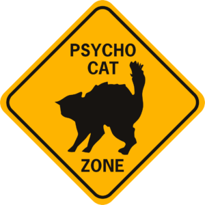 Cat Psycho Cat Zone solid diamond funny aluminum sign