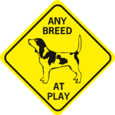 DOG BREED AT PLAY