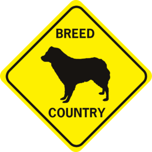 DOG BREED COUNTRY