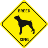 DOG BREED XING