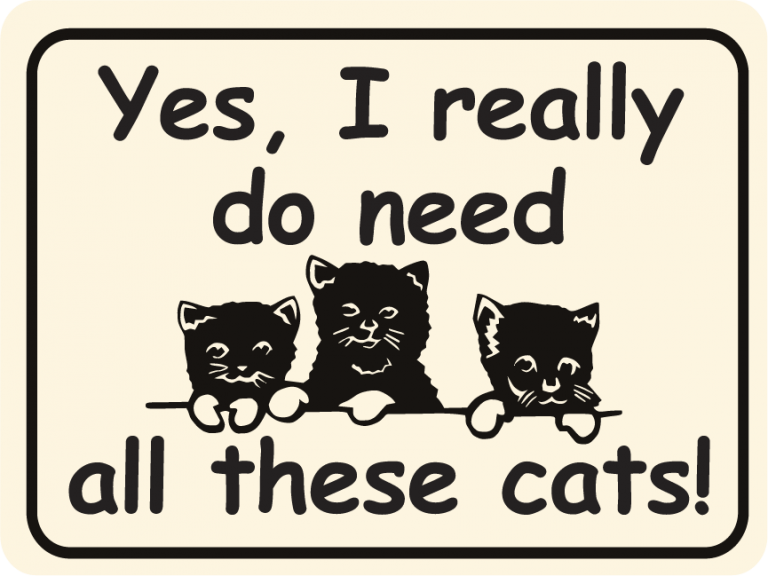 I need cat. Прикольные таблички кошка. Кот Yes. Черная кошка табличка. Стильные постеры с кошками
