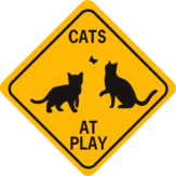 cats at play