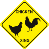 chicken xing hen and rooster