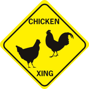 chicken xing hen and rooster