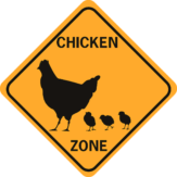 Chicken and other Bird Signs