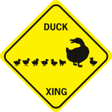 duck xing
