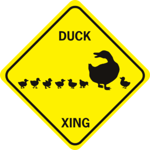 duck xing