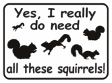 Squirrel Signs