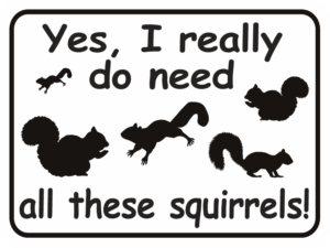 squirrel yes I really do need all these squirrels
