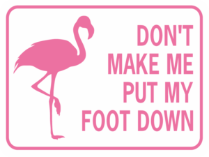 FLAMINGO DON'T MAKE ME PUT MY FOOT DOWN sign