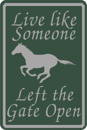 Live Like Someone Left The Gate Open