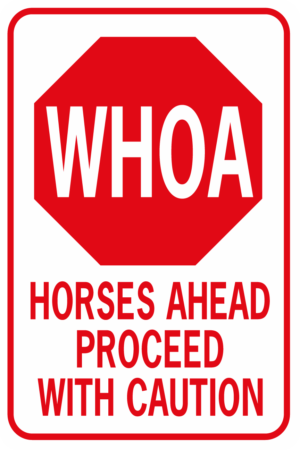 WHOA HORSES AHEAD PROCEED