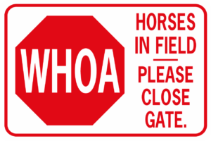 WHOA HORSES IN FIELD GATE