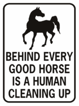 behind every horse there is a good human