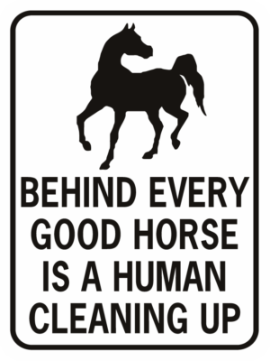 behind every horse there is a good human