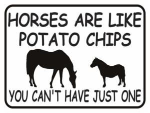 horses are like potato chips