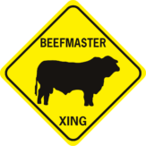 COW BEEFMASTER