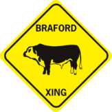 cow braford cow 2 cut outs