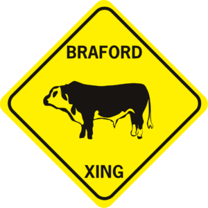 cow braford cow 2 cut outs