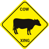 COW COW 1