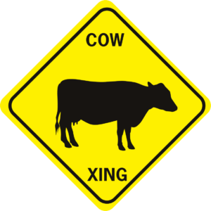 COW COW 1