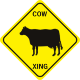 cow 2 cow