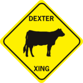 Cow Dexter