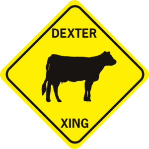 Cow Dexter